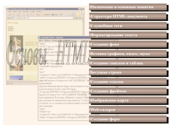 Основы HTML