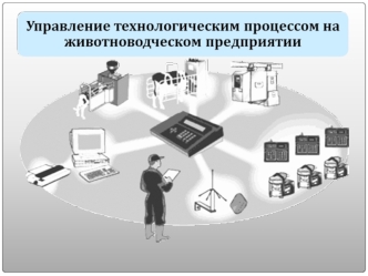 Управление технологическим процессом на животноводческом предприятии.