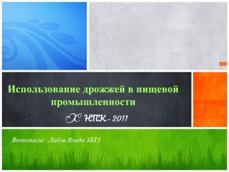 Использование дрожжей в пищевой промышленности