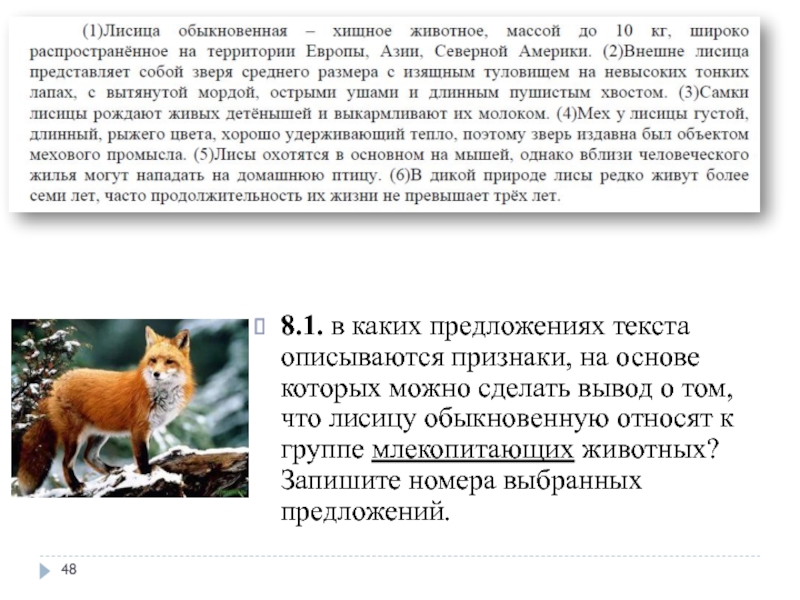 Прочитайте текст и выполните задания лисица обыкновенная. Описание лисы. Описание дикой лисы. Продолжительность жизни лисицы обыкновенной. Продолжительность жизни лисы в природе.