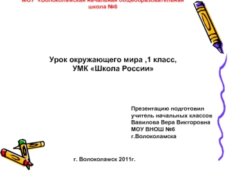 Урок окружающего мира ,1 класс,
УМК Школа России