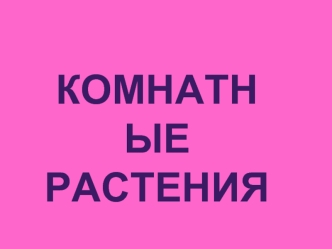 комнатные
растения