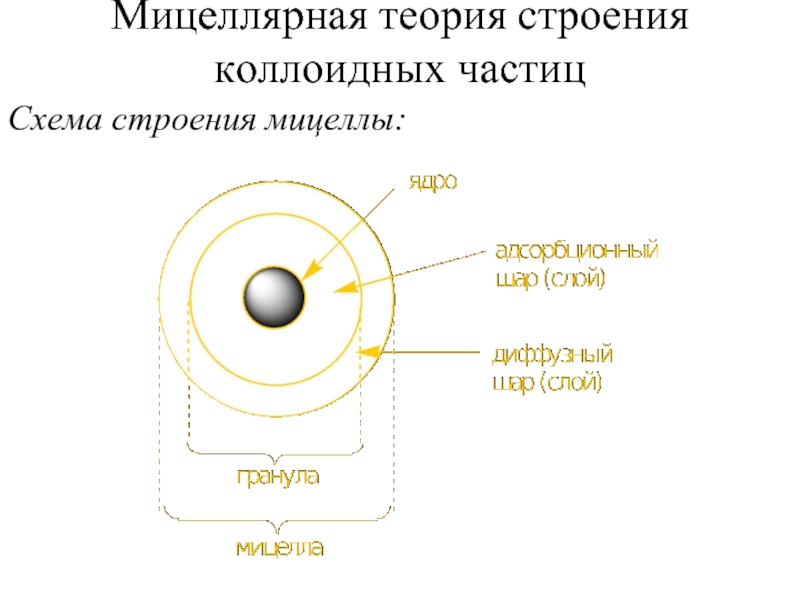 Схема частицы. Теория строения мицеллы. Мицеллярная теория строения. Строение мицеллы в коллоидной химии. Мицеллярная теория строения коллоидных частиц.