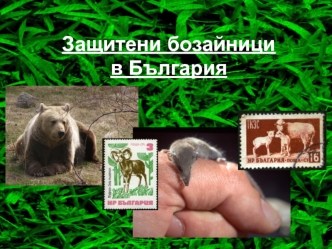 Защитени бозайници в България
