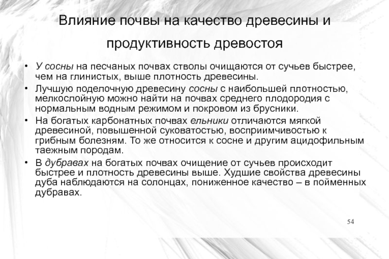 Влияние почв. Влияние почвы на строение признаки и качества древесины. Продуктивность древостоя. Влияние кислотности на продуктивность почв. Влияние механического состава почвы на продуктивность древостоев.