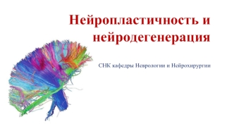 Нейропластичность и нейродегенерация