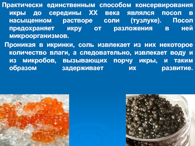 Микробиология рыбных продуктов презентация