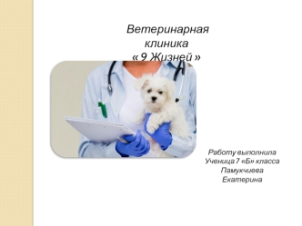 Бизнес-план ветеринарной клиники