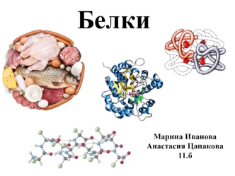 Белки. Строение