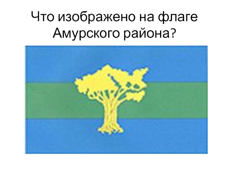 Амурск герб. Герб Амурского района Хабаровского края. Флаг Амурского района Хабаровского края. Герб Амурского муниципального района. Герб города Амурска.