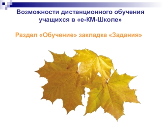 Возможности дистанционного обучения учащихся в е-КМ-Школе