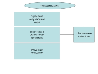 Функции психики