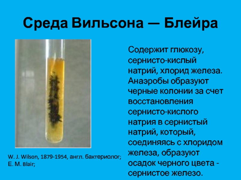 Хлорид железа и натрий. Среда Вильсона-Блера. Среда Вильсона-Блера состав. Среда Вильсона Блера микробиология. Среда Вильсона Блера микробиология состав.
