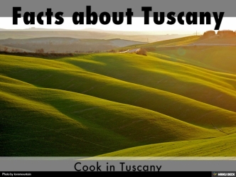 Fun Facts About Tuscany