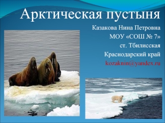 Арктическая пустыня
Казакова Нина Петровна
МОУ СОШ № 7
ст. Тбилисская
Краснодарский край
kozaknin@yandex.ru