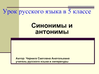 Урок русского языка в 5 классе