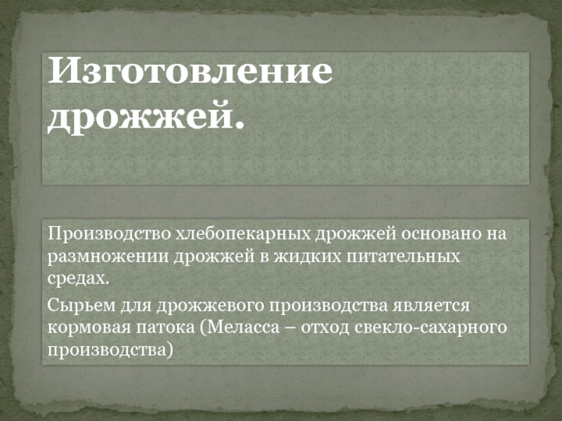 Производство хлебопекарных дрожжей