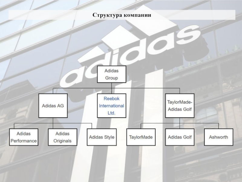 Схема организационной структуры управления ооо лента