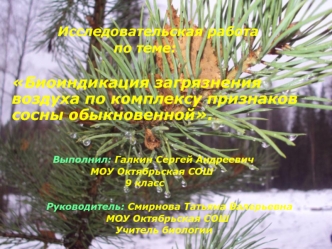 Исследовательская работа
                          по теме:

    Биоиндикация загрязнения   воздуха по комплексу признаков  сосны обыкновенной.

                    
                 Выполнил: Галкин Сергей Андреевич
                             МОУ Октяб