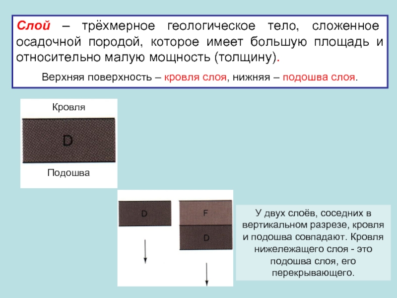 Объемный слой. Кровля и подошва слоя. Подошва слоя. Слой это Геологическое тело. Геологический слой кровля подошва.