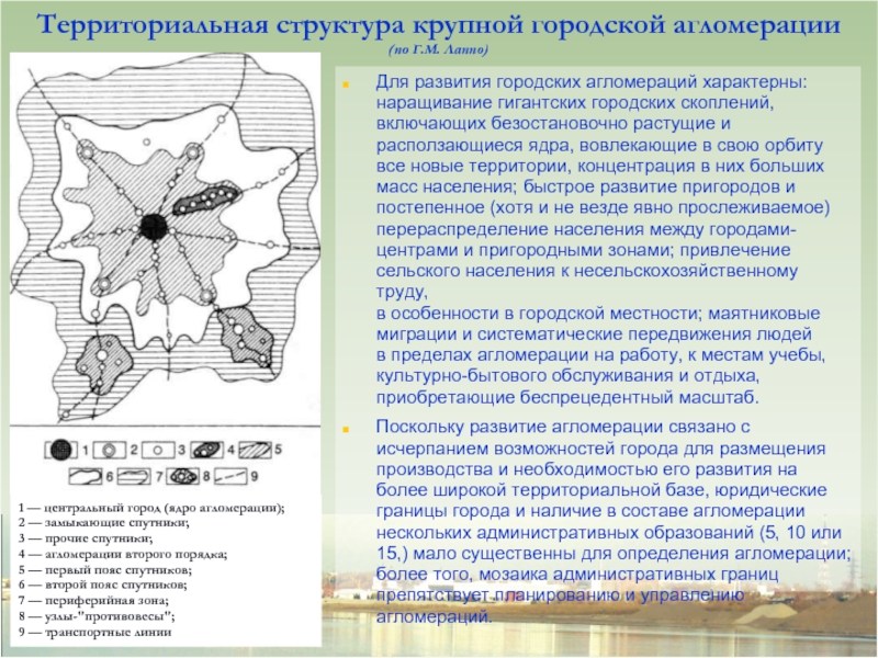 Территория структура. Структура городской агломерации (по г. Лаппо). Территориальная структура городской агломерации. Территориальная структура крупной агломерации. Пространственная структура городских агломераций.