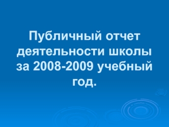 Публичный отчет деятельности школы за 2008-2009 учебный год.