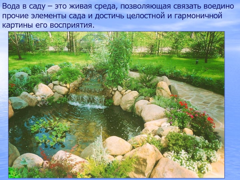 Строительство декоративных водоемов реферат кратко. Реферат водоёмы в Армении. Какие виды должны присутствовать в пруду?. Живая среда.