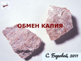 Обмен калия в организме человека