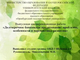 Долгосрочное банковское кредитование: проблемы, особенности и перспективы развития