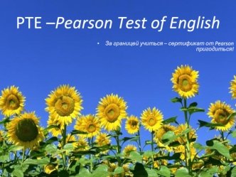 PTE –Pearson Test of English