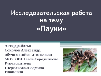 Исследовательская работа на темуПауки