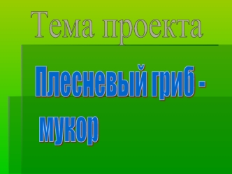 Тема проекта