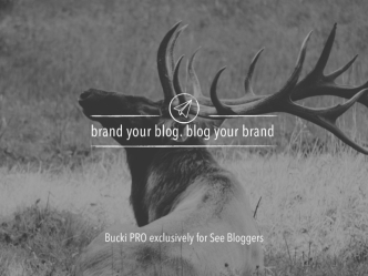Brand Your Blog. Blog Your Brand.