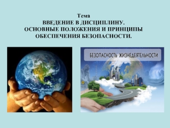 Положения и принципы обеспечения безопасности. Понятие о риске