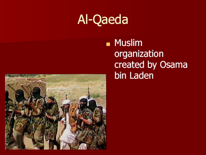 Al-QaedaMuslim organization created by Osama bin Laden
