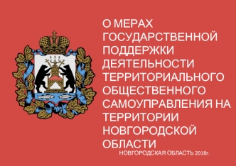 О мерах господдержки деятельности ТОС на территории Новгородской области