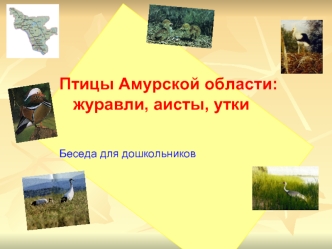 Птицы Амурской области:
   журавли, аисты, утки
