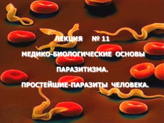 Медико-биологические основы паразитизма. Простейшие паразиты человека. (Лекция 11)