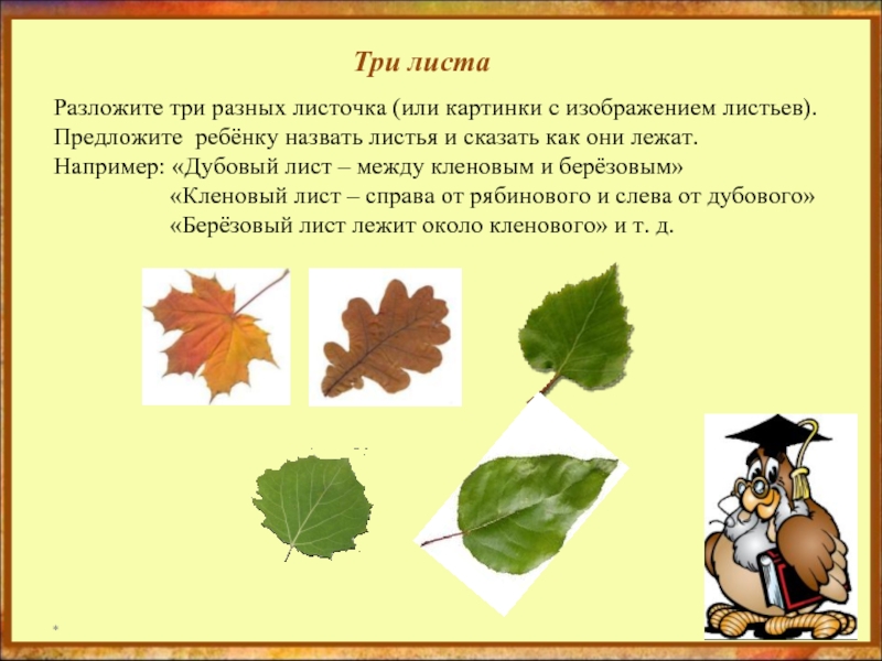 Основная мысль текста лист листочек. Загадки про листья деревьев. Осенние загадки на листьях деревьев. Лист с информацией. Описание листьев осенью.