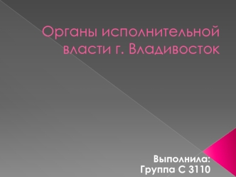 Органы исполнительной власти г. Владивосток