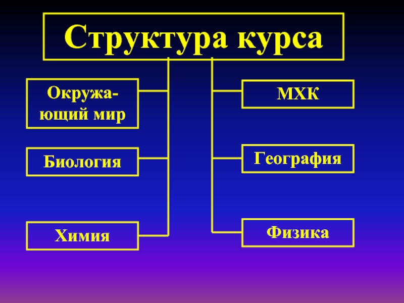 Структура жизни общества. Структура жизни. Структура жизни человека. Структура курса химии. Структура жизненного мира.