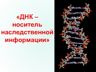 ДНК – носитель наследственной информации