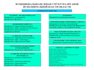 ФУНКЦИОНАЛЬНО-ЦЕЛЕВАЯ СТРУКТУРА ОРГАНОВ ИСПОЛНИТЕЛЬНОЙ ВЛАСТИ ОБЛАСТИ