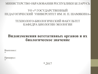 Видоизменения вегетативных органов и их биологическое значение