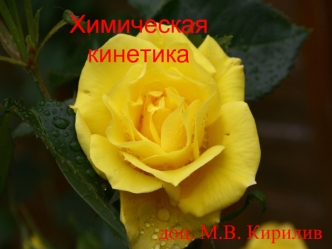 Химическая кинетика