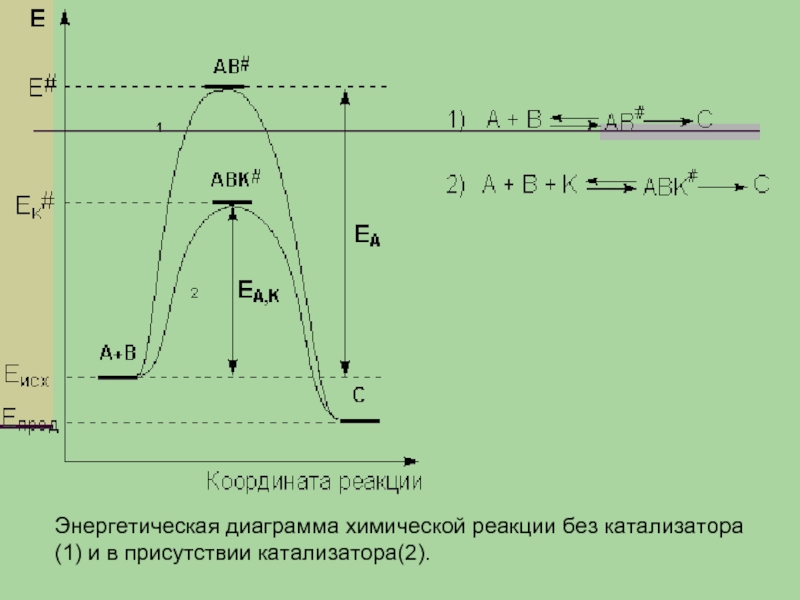 Энергетическая диаграмма реакции