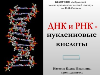 ДНК и РНК-нуклеиновые кислоты