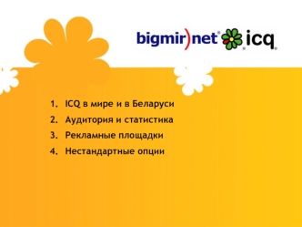 ICQ в мире и в Беларуси
Аудитория и статистика
Рекламные площадки
Нестандартные опции