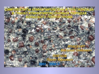 Эклогитоподобные гранат-клинопироксен- плагиоклазовые сланцы слагают будины мощностью до нескольких сотен метров в серых гнейсах тоналит-трондьемит-гранодиоритовой.