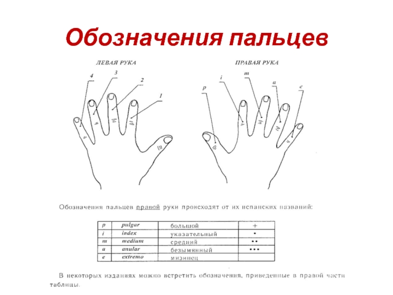 Что означает пальчики